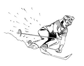 skifahrer