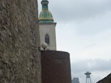 P1190073