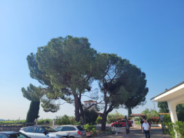 Gardasee