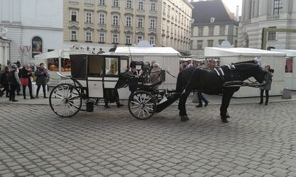 Wien 2019