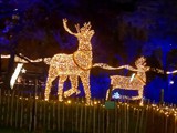 wien20220012